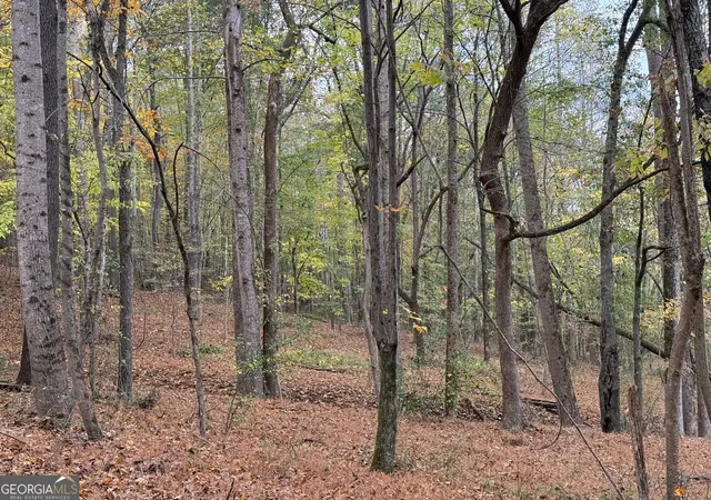 13th image of 2538 Mount Zion, Oxford, GA 30054 | MLS# 10824446