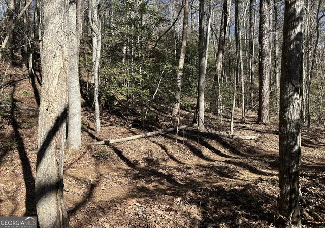3rd image of 000 Twin River Orchard Rd #TRACT 2, Demorest, GA 30535 | MLS# 10663801