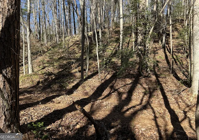 4th image of 000 Twin River Orchard Rd #TRACT 2, Demorest, GA 30535 | MLS# 10663801