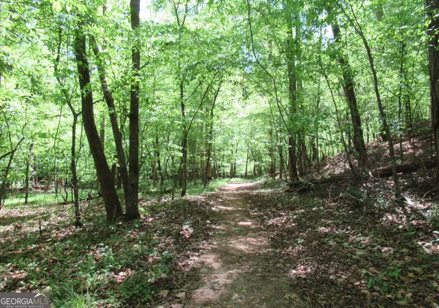 1st image of 0 Chestatee Dr, Dahlonega, GA 30533 | MLS# 10820639