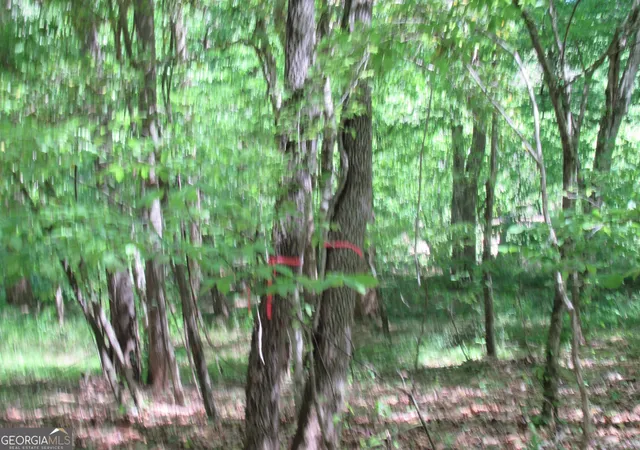 2nd image of 0 Chestatee Dr, Dahlonega, GA 30533 | MLS# 10820639
