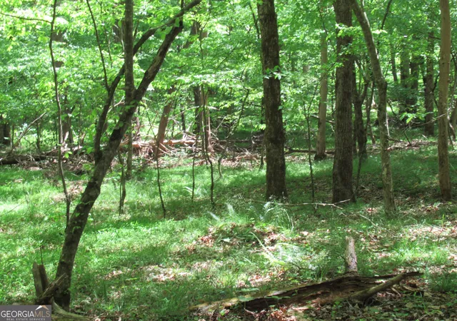 Photo 3 of Land for sale at 0 Chestatee Dr, Dahlonega, GA 30533 | MLS# 10820639 | Listing updated on 2026-08-20
