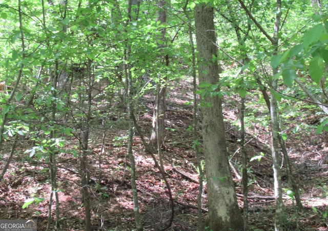 Photo 3 of Land for sale at 0 Chestatee Dr, Dahlonega, GA 30533 | MLS# 10820639 | Listing updated on 2026-08-20