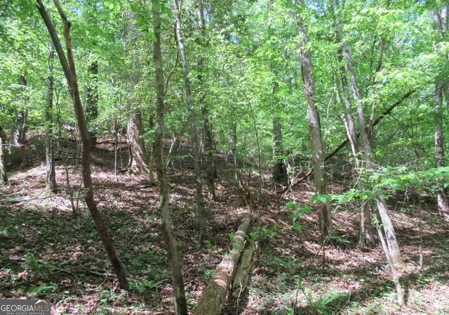 Photo 4 of Land for sale at 0 Chestatee Dr, Dahlonega, GA 30533 | MLS# 10820639 | Listing updated on 2026-08-20