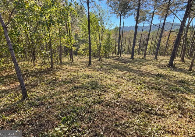 Photo 2 of Land for sale at 0 Eastview Tr Trl, Ellijay, GA 30536 | MLS# 10874365 | Listing updated on 2026-10-30