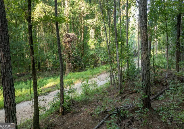 2nd image of 0 Allgood Rd #12.59+/- ACRES, Newnan, GA 30263 | MLS# 10827258