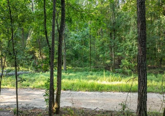 Photo 3 of Land for sale at 0 Allgood Rd #12.59+/- ACRES, Newnan, GA 30263 | MLS# 10827258 | Listing updated on 2026-08-31