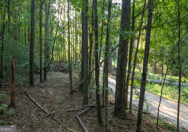 Photo 3 of Land for sale at 0 Allgood Rd #12.59+/- ACRES, Newnan, GA 30263 | MLS# 10827258 | Listing updated on 2026-10-07