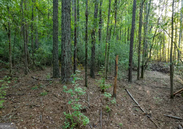 Photo 4 of Land for sale at 0 Allgood Rd #12.59+/- ACRES, Newnan, GA 30263 | MLS# 10827258 | Listing updated on 2026-10-07