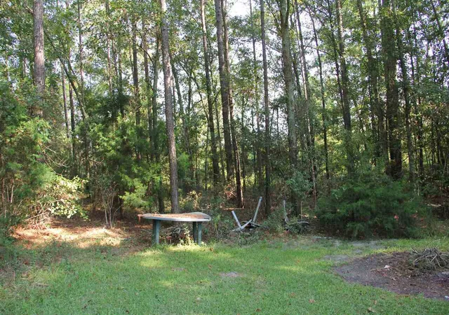 28th image of 2489 Mosley Rd, Claxton, GA 30417 | MLS# 10821771