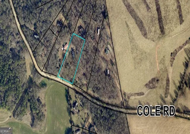 Homes for sale in Carnesville, GA | 2627 Cole Rd, Carnesville, GA 30521 | MLS# 10774602