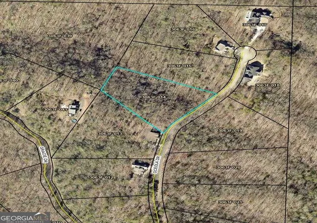 4th image of Lot 14 Oceola Dr, Ellijay, GA 30540 | MLS# 10789146