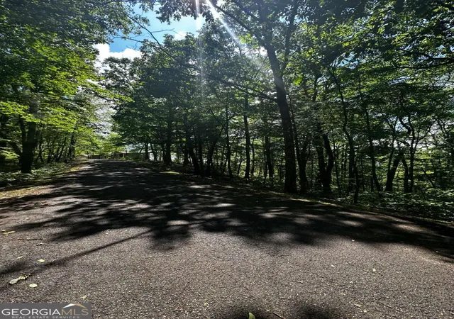 9th image of Lot 14 Oceola Dr, Ellijay, GA 30540 | MLS# 10789146