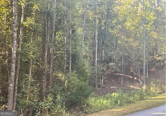 2nd image of Lot 161 Jamesway Dr, Sparta, GA 31087 | MLS# 10825464