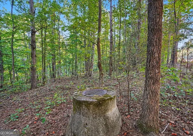 Photo 1 of Land for sale at 0 Locust Rd, Locust Grove, GA 30248 | MLS# 10832541 | Listing updated on 2026-09-30