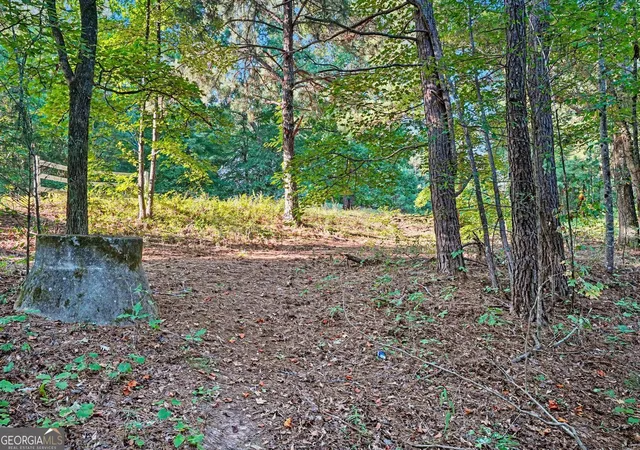 Photo 2 of Land for sale at 0 Locust Rd, Locust Grove, GA 30248 | MLS# 10832541 | Listing updated on 2026-09-30