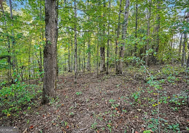 Photo 3 of Land for sale at 0 Locust Rd, Locust Grove, GA 30248 | MLS# 10832541 | Listing updated on 2026-09-30