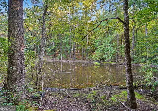 Photo 4 of Land for sale at 0 Locust Rd, Locust Grove, GA 30248 | MLS# 10832541 | Listing updated on 2026-09-30