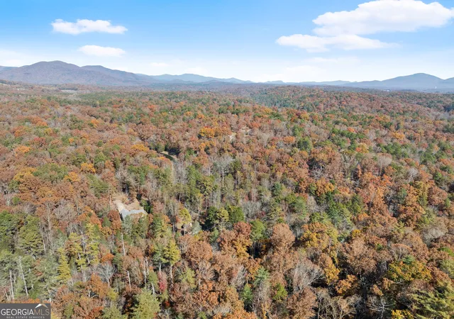 61st image of 893 Hooper Rd, Cleveland, GA 30528 | MLS# 10824056