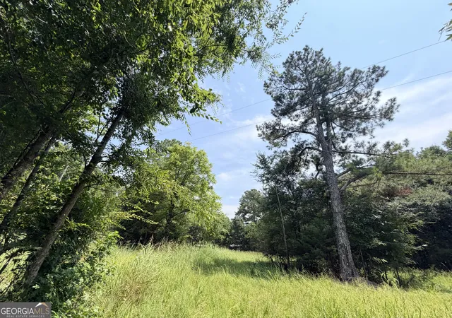 44th image of 2 Mallorysville Rd, Tignall, GA 30668 | MLS# 10815003