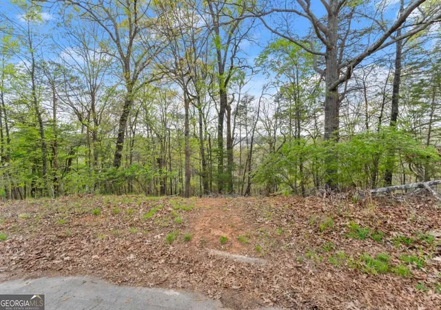 Photo 2 of Land for sale at 2517 Thompson Overlook, Gainesville, GA 30506 | MLS# 10727296 | Listing updated on 2026-04-21