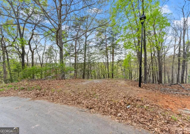 Photo 2 of Land for sale at 2517 Thompson Overlook, Gainesville, GA 30506 | MLS# 10727296 | Listing updated on 2026-04-21