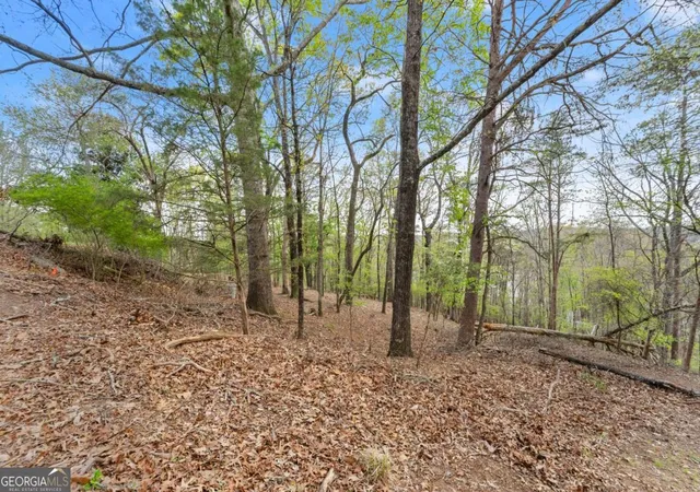 Photo 4 of Land for sale at 2517 Thompson Overlook, Gainesville, GA 30506 | MLS# 10727296 | Listing updated on 2026-04-21