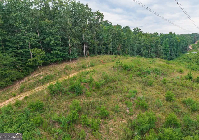 10th image of 0 Hobgood Rd, Rydal, GA 30171 | MLS# 10821402