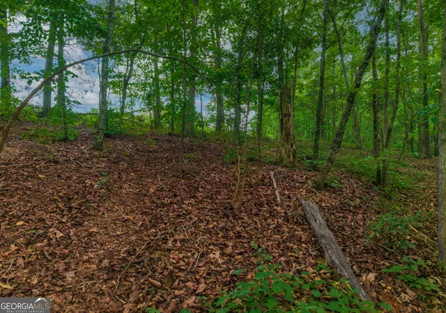 2nd image of 0 Hobgood Rd, Rydal, GA 30171 | MLS# 10821402
