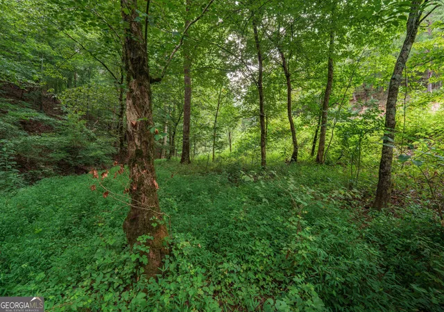 3rd image of 0 Hobgood Rd, Rydal, GA 30171 | MLS# 10821402