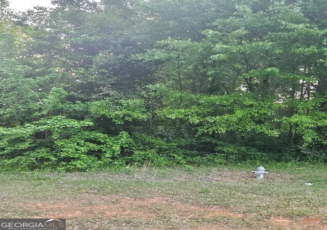 3rd image of 974 W Hemphill Rd, Stockbridge, GA 30281 | MLS# 10793702