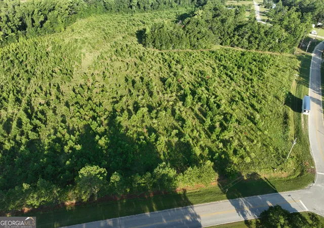 2nd image of 0 Ben Grady Collins Rd, Portal, GA 30450 | MLS# 10820143