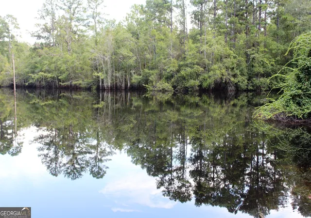 30th image of 0 Ben Grady Collins Rd, Portal, GA 30450 | MLS# 10820143