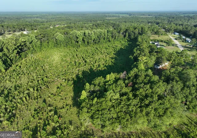 3rd image of 0 Ben Grady Collins Rd, Portal, GA 30450 | MLS# 10820143