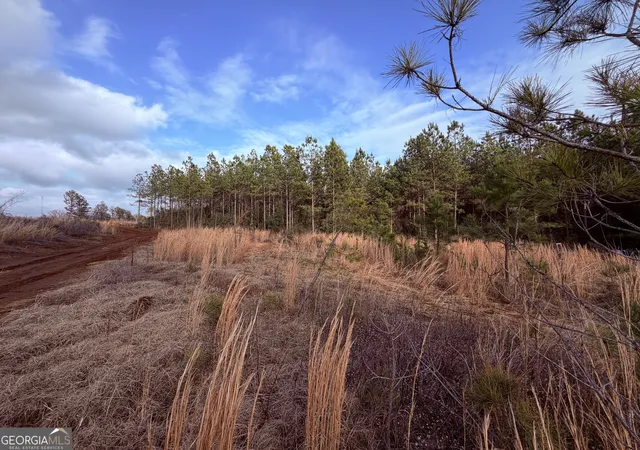 Homes for sale in Sparta, GA | 0 Carr Station Rd, Sparta, GA 31087 | MLS# 10726089