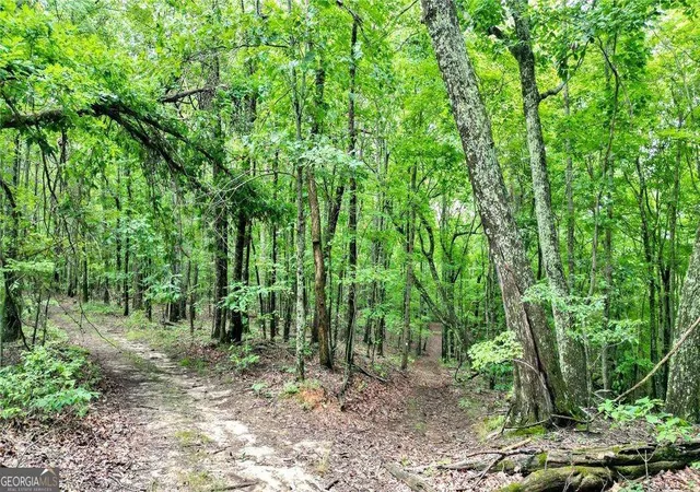 2nd image of Trt B Cascade Dr, Jasper, GA 30143 | MLS# 10741890