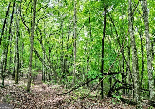 4th image of Trt B Cascade Dr, Jasper, GA 30143 | MLS# 10741890