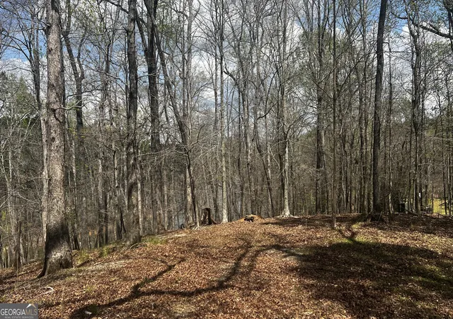 45th image of 3675 Hidden Pond Dr, Gainesville, GA 30506 | MLS# 10725048