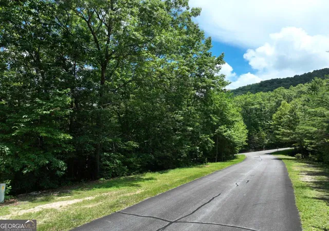 Homes for sale in Ellijay, GA | 122 Cloudland Dr, Ellijay, GA 30536 | MLS# 10797508