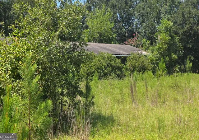 Photo 1 of Single family home for sale at 159 Grimsley Rd, Colquitt, GA 39837 | MLS# 10836219 | Listing updated on 2026-09-14