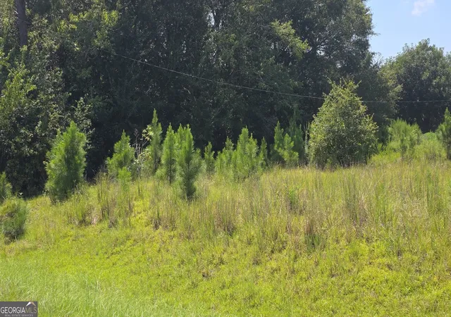 Photo 3 of Single family home for sale at 159 Grimsley Rd, Colquitt, GA 39837 | MLS# 10836219 | Listing updated on 2026-09-14