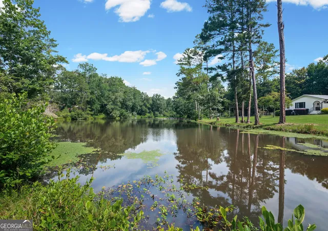 41st image of 163 Sheppard Dr, Newnan, GA 30263 | MLS# 10803971