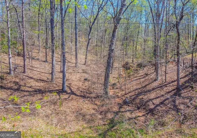 3rd image of 0 Arrow Ln, Lavonia, GA 30553 | MLS# 10770827