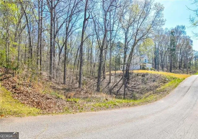 4th image of 0 Arrow Ln, Lavonia, GA 30553 | MLS# 10770827