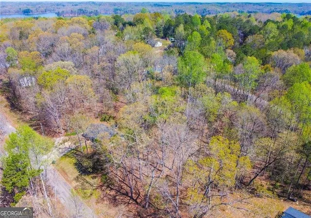 5th image of 0 Arrow Ln, Lavonia, GA 30553 | MLS# 10770827