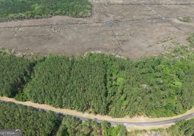 Photo 4 of Land for sale at Lot 43 La Sole Ln, Waverly, GA 31565 | MLS# 10739851 | Listing updated on 2026-09-27