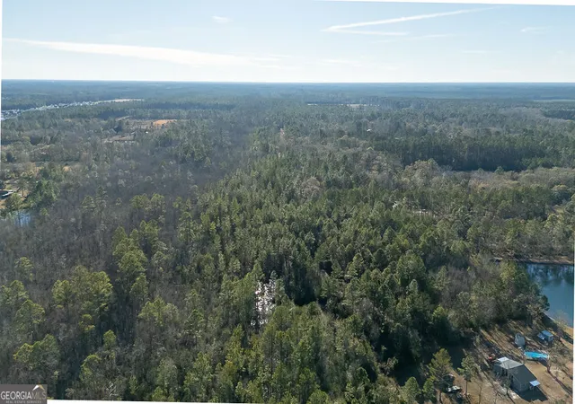 Photo 3 of Land for sale at 297 Horsepen Rd, Guyton, GA 31312 | MLS# 10442404 | Listing updated on 2026-01-14