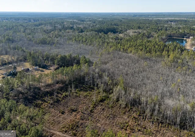 Photo 4 of Land for sale at 297 Horsepen Rd, Guyton, GA 31312 | MLS# 10442404 | Listing updated on 2026-01-14