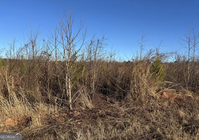 Photo 3 of Land for sale at 0 83 Connector, Monroe, GA 30655 | MLS# 10664226 | Listing updated on 2026-09-06