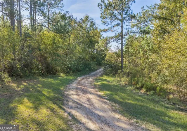 Homes for sale in Abbeville, GA | 874 Mistletoe Rd, Abbeville, GA 31001 | MLS# 10631854